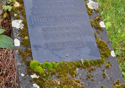 Měděnec, Omnium, 2020