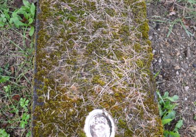 Měděnec, Omnium, 2020