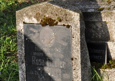 Měděnec, Omnium, 2020