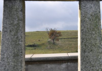 Měděnec, Omnium, 2020