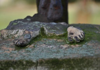 Měděnec, Omnium, 2020