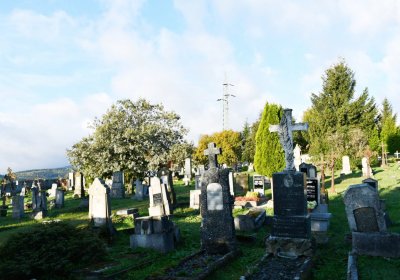 Měděnec, Omnium, 2020