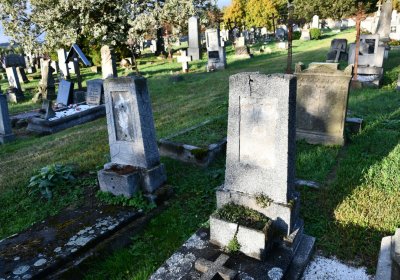 Měděnec, Omnium, 2020