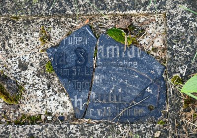 Měděnec, Omnium, 2020