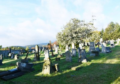 Měděnec, Omnium, 2020