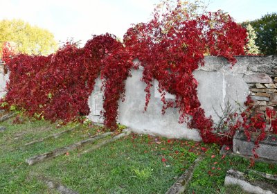 Měděnec, Omnium, 2020