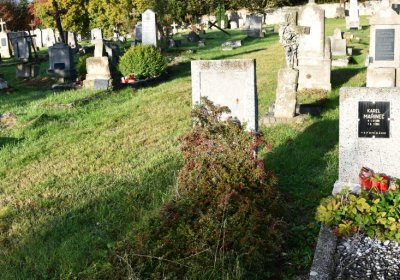 Měděnec, Omnium, 2020