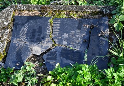 Měděnec, Omnium, 2020