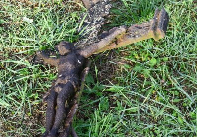 Měděnec, Omnium, 2020