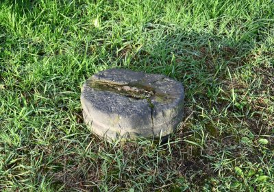 Měděnec, Omnium, 2020