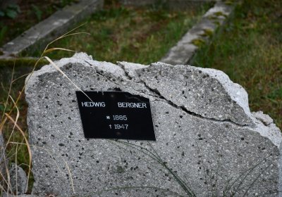 Měděnec, Omnium, 2020