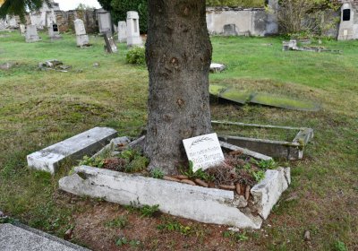 Měděnec, Omnium, 2020