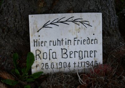 Měděnec, Omnium, 2020