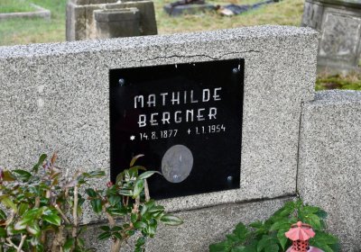 Měděnec, Omnium, 2020