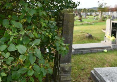 Měděnec, Omnium, 2020