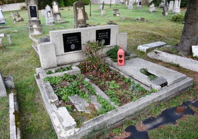 Měděnec, Omnium, 2020