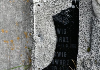 Měděnec, Omnium, 2020