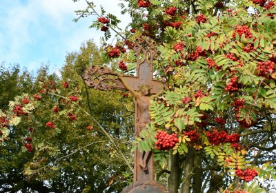 Měděnec, Omnium, 2020