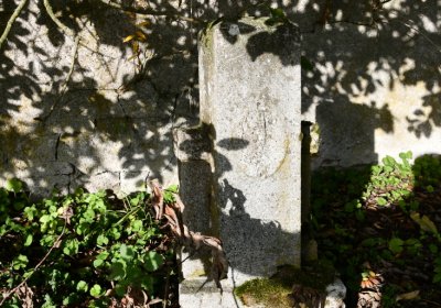 Měděnec, Omnium, 2020