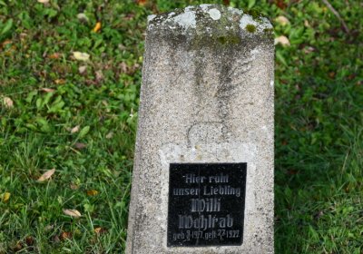 Měděnec, Omnium, 2020