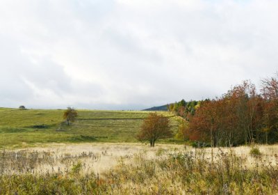 Měděnec, Omnium, 2020