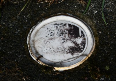 Měděnec, Omnium, 2020