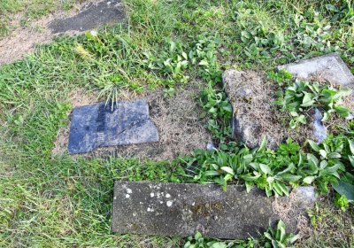 Měděnec, Omnium, 2020