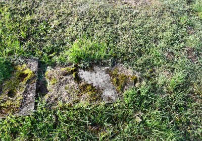 Měděnec, Omnium, 2020