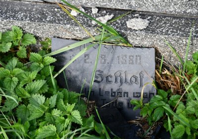 Měděnec, Omnium, 2020