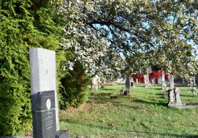 Měděnec, Omnium, 2020