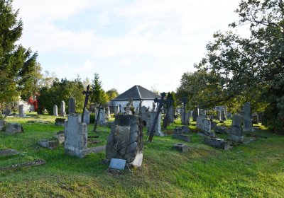 Měděnec, Omnium, 2020