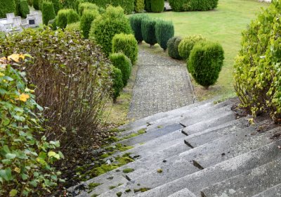 Okounov, Omnium, 2020