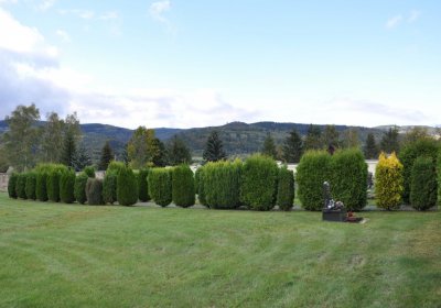 Okounov, Omnium, 2020