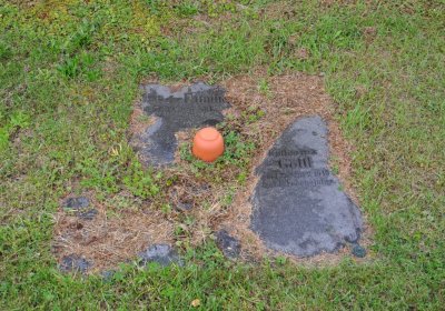 Okounov, Omnium, 2020