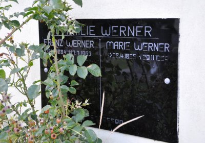 Okounov, Omnium, 2020