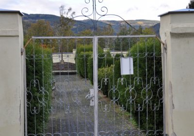 Okounov, Omnium, 2020