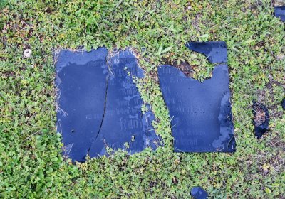 Okounov, Omnium, 2020