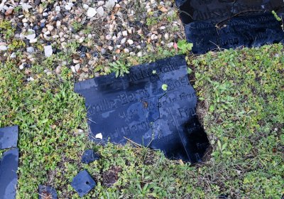 Okounov, Omnium, 2020