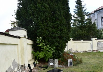 Okounov, Omnium, 2020