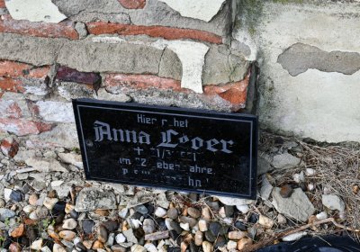 Okounov, Omnium, 2020