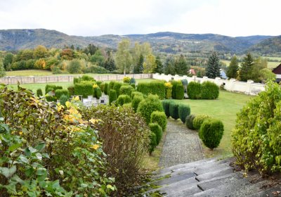 Okounov, Omnium, 2020