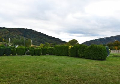 Okounov, Omnium, 2020