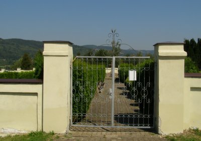 Kmínek Michal, 2020