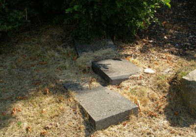 Kmínek Michal, 2020