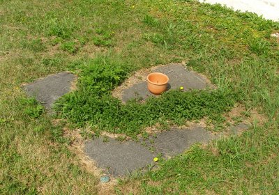 Kmínek Michal, 2020