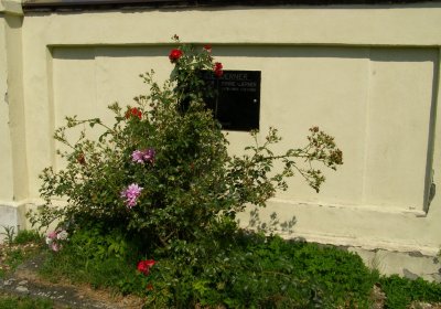 Kmínek Michal, 2020