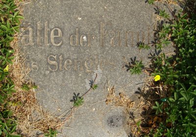 Kmínek Michal, 2020