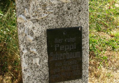 Kmínek Michal, 2020