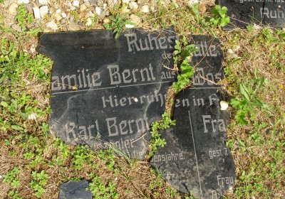 Kmínek Michal, 2020