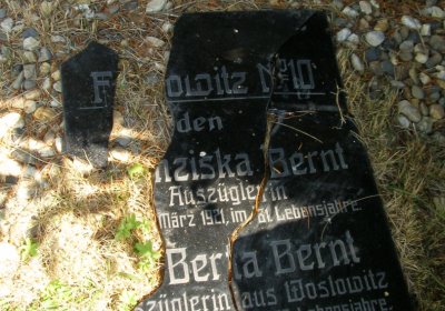 Kmínek Michal, 2020